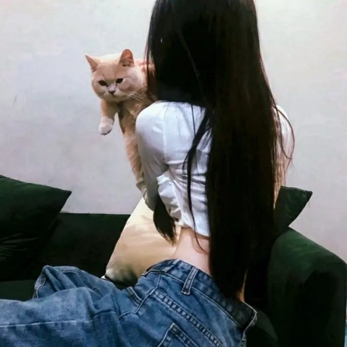 少年正义联盟第三季海报